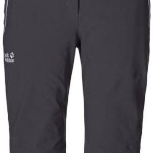 Jack Wolfskin Ionic Pants Lasketteluhousut Teräs